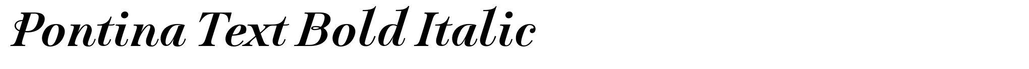 Pontina Text Bold Italic image